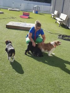 The Pet Doctor Doggie Daycare & Boarding Facility