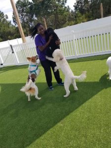 The Pet Doctor Doggie Daycare & Boarding Facility