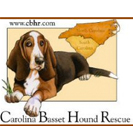 Carolina Bassett Hound Rescue