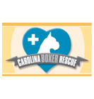 Carolina Boxer Rescue