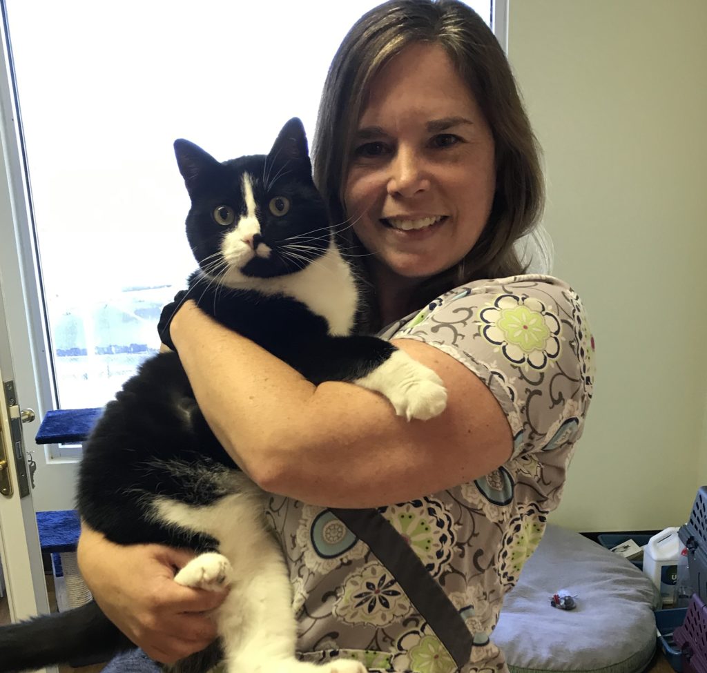 Christina Moats The Pet Doctor