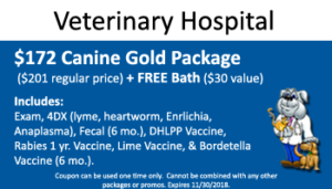 November Canine Gold Special
