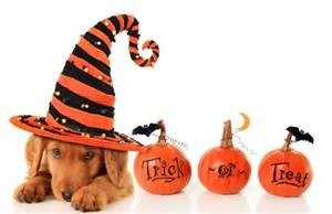 Halloween Treat Reminders for Pets
