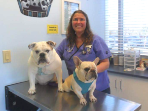 Veterinarian, Dr. Stephanie Fotorny - The Pet Doctor