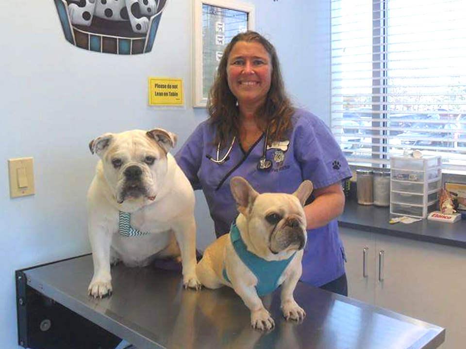 Dr. Stephanie Fotorny Veterinarian, Dr. Stephanie Fotorny - The Pet Doctor