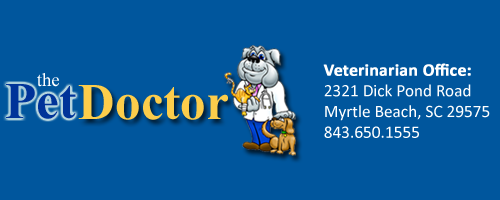 The Pet Doctor Veterinary Office