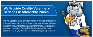 Quality Veterinary Services At Affordable Prices