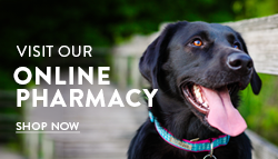 Online Pharmacy: Shop Now