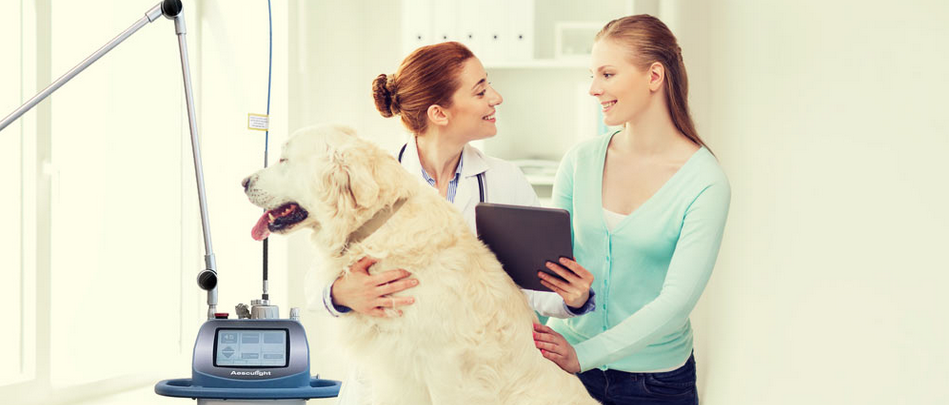 Vet-Client-Dog