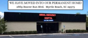 Animal Emergency Hospital of the Grand Strand