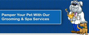 Grooming & Spa Services