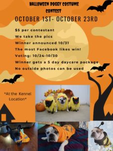 Halloween Doggy Costume Contest 2022