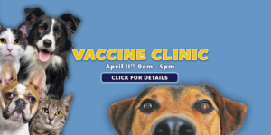 Vaccine Clinic April 2025