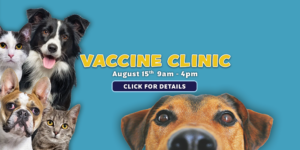 Vaccine Clinic August 2025