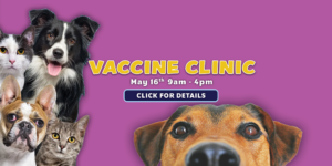 Vaccine Clinic May 2025