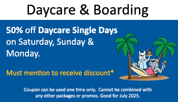 Kennel – 50% off Daycare Single Days Sa/Su/M