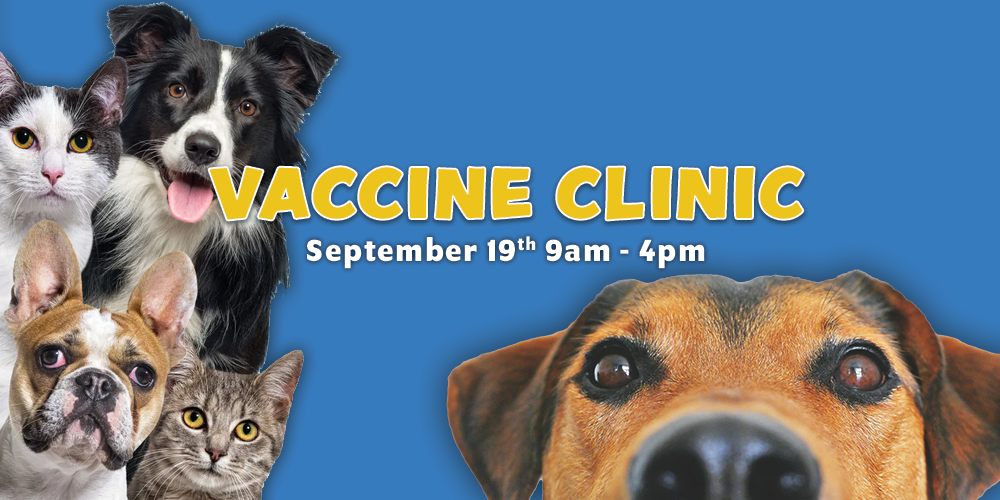 PD_Vaccine Clinic_2025_Sept PAGE GRAPHIC Vaccine Clinic September 2025