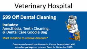 Vet Hospital – $99 off Dental Special