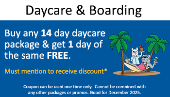 Kennel – B14G1 Daycare Free