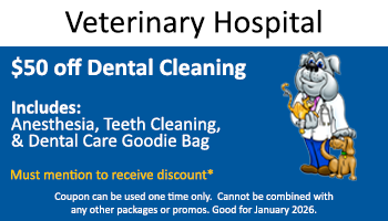 Vet Hospital – $50 off Dental