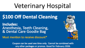 Vet Hospital – $100 off Dental