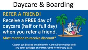 Kennel – Refer a Friend, Get Free 1 day Daycare