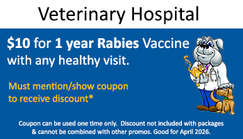 Vet Hospital – $10 for 1 year Rabies Vaccine – healthy visit
