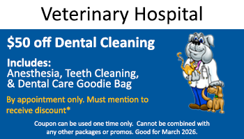 Vet Hospital – $50 off Dental