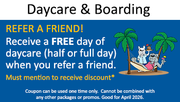 Kennel – Refer a Friend, Get Free 1 day Daycare