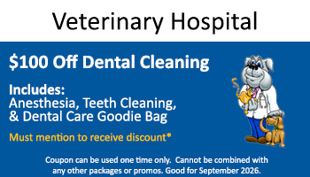 Vet Hospital – $100 off Dental